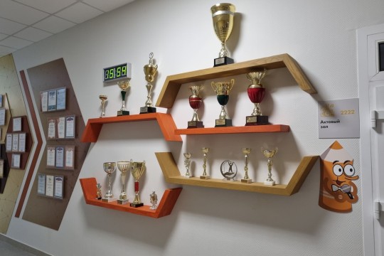 Лицей №11, г. Ростов-на-Дону. Картинка 12