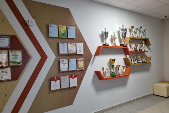 Лицей №11, г. Ростов-на-Дону. Картинка 8