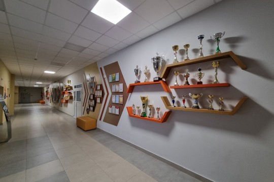 Лицей №11, г. Ростов-на-Дону. Картинка 14