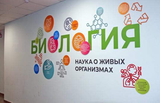 Школа №31, г. Краснодар. Картинка 21