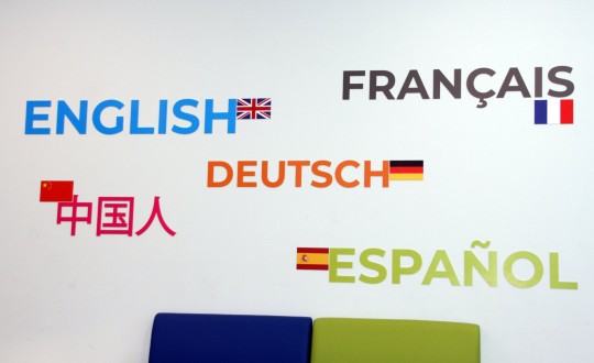 Школа №31, г. Краснодар. Картинка 37