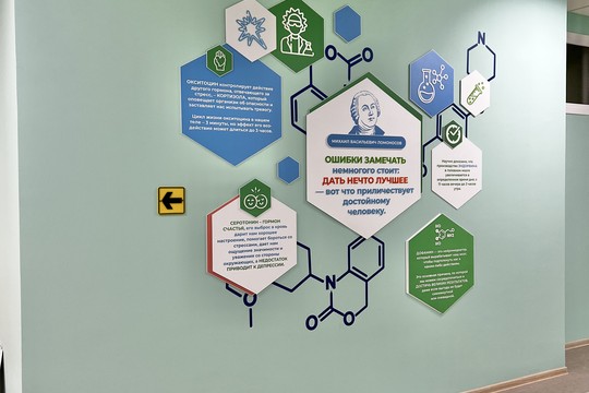 Школа №100, г. Краснодар. Картинка 11