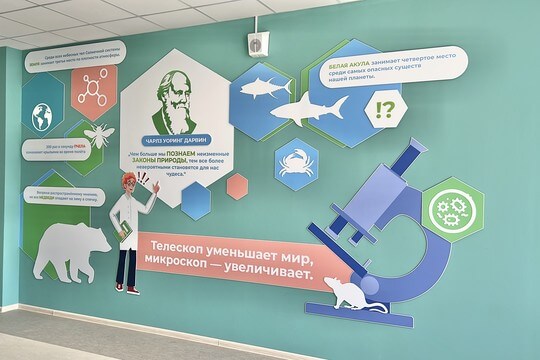 Школа №100, г. Краснодар. Картинка 30