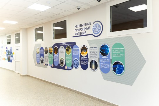 Школа №116, г. Ростов-на-Дону. Картинка 33