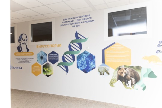 Школа №116, г. Ростов-на-Дону. Картинка 42